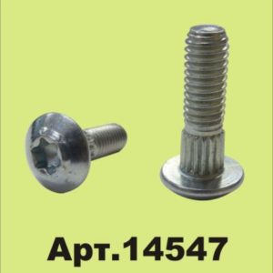 14547.01 Болт для крепления сегментов М6x20, торкс по 100 шт. 6264070