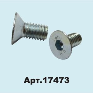 17473 Болт M6x12