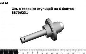 Ось в сборе со ступицей на 6 болтов 88706231