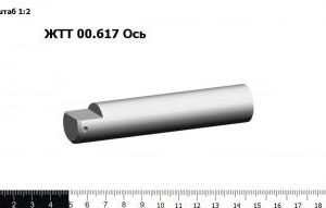 ЖТТ 00.617 Ось